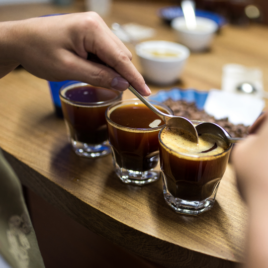 Cata de Café - ¿Qué es el Cupping en cafés e especialidad?